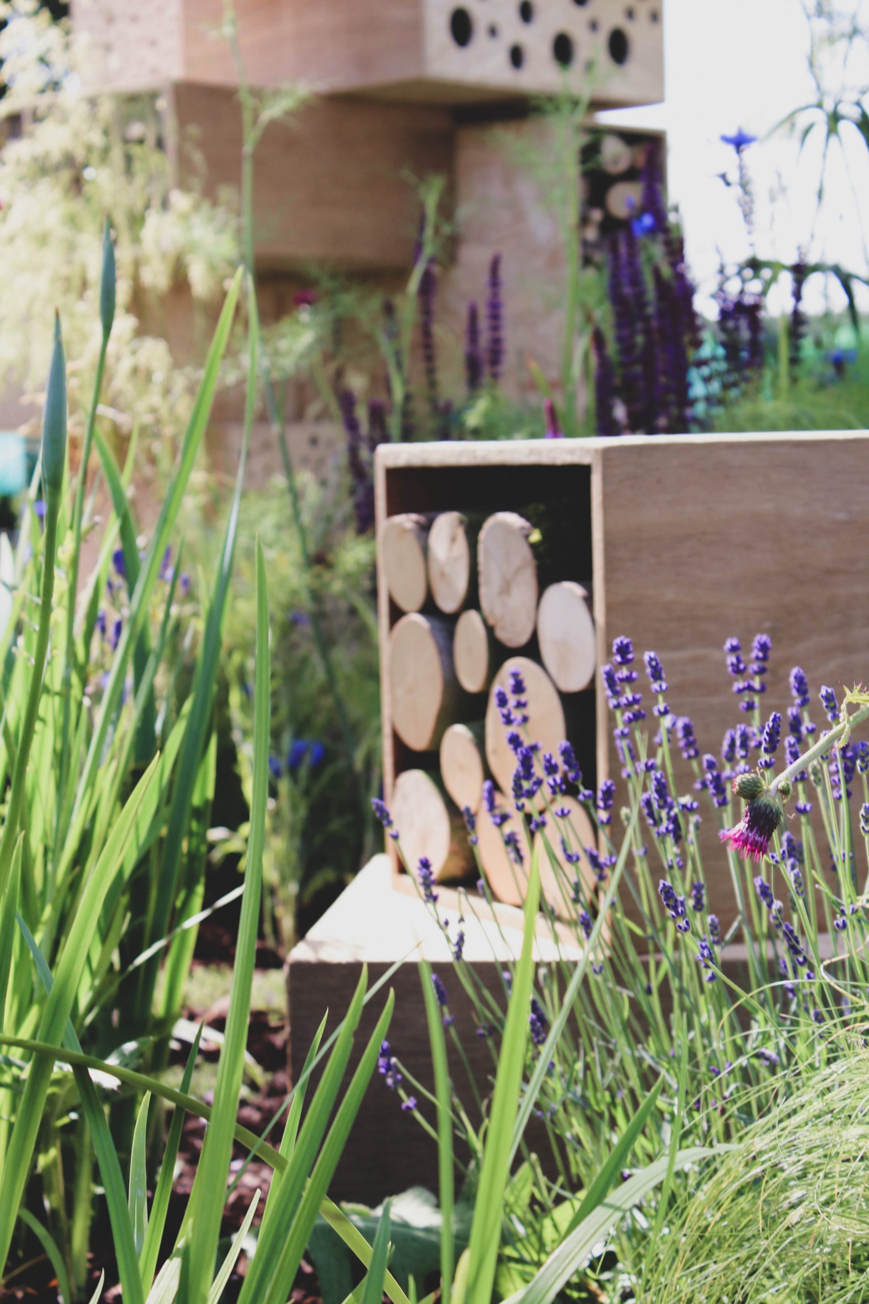 Insect habitat detail in The Bee Cause Garden at Blenheim Palace Flower Show