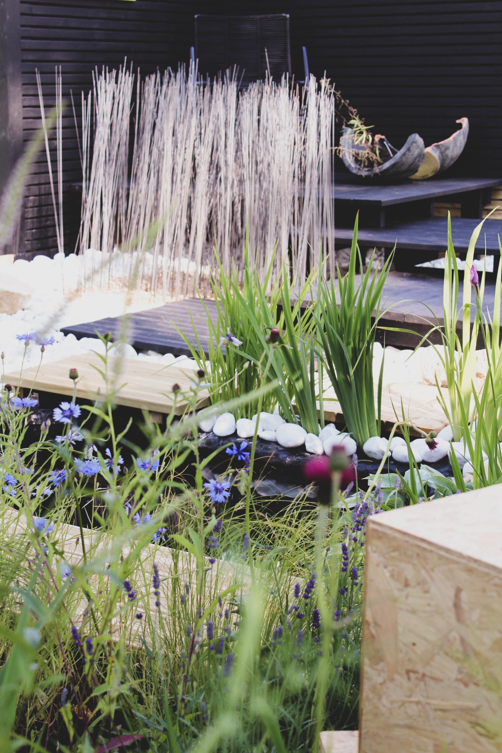 Bee-friendly planting in The Bee Cause Garden at Blenheim Palace Flower Show