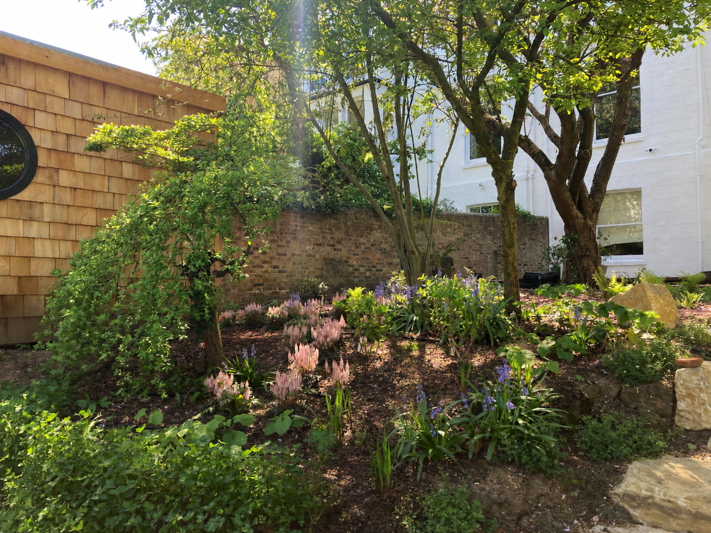 Large Hampstead garden in North London with natural planting beside timber-clad garden building