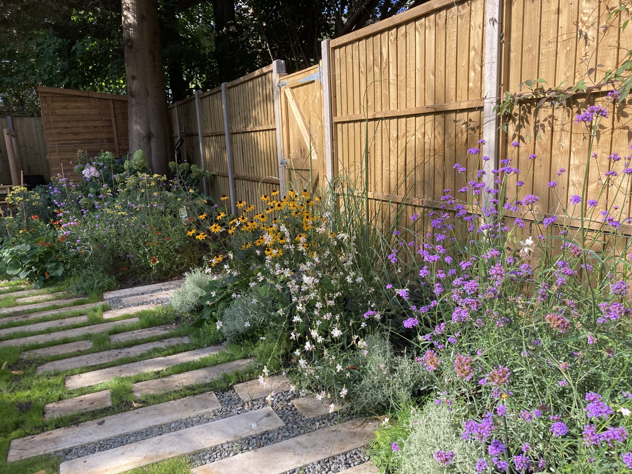 Hampstead garden design with informal path and colourful planting in North London