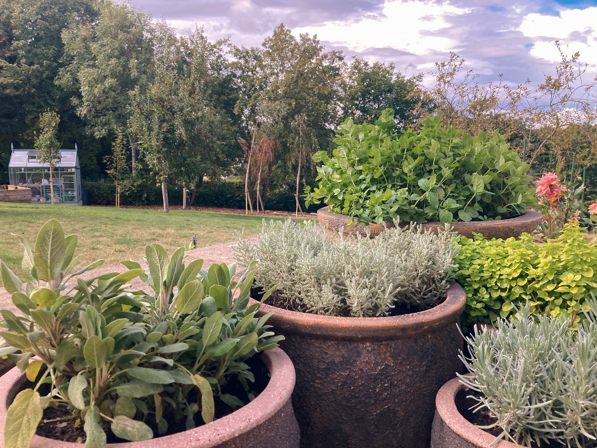 Herb planting overlooking a large country garden in Chipping Norton, Oxfordshire