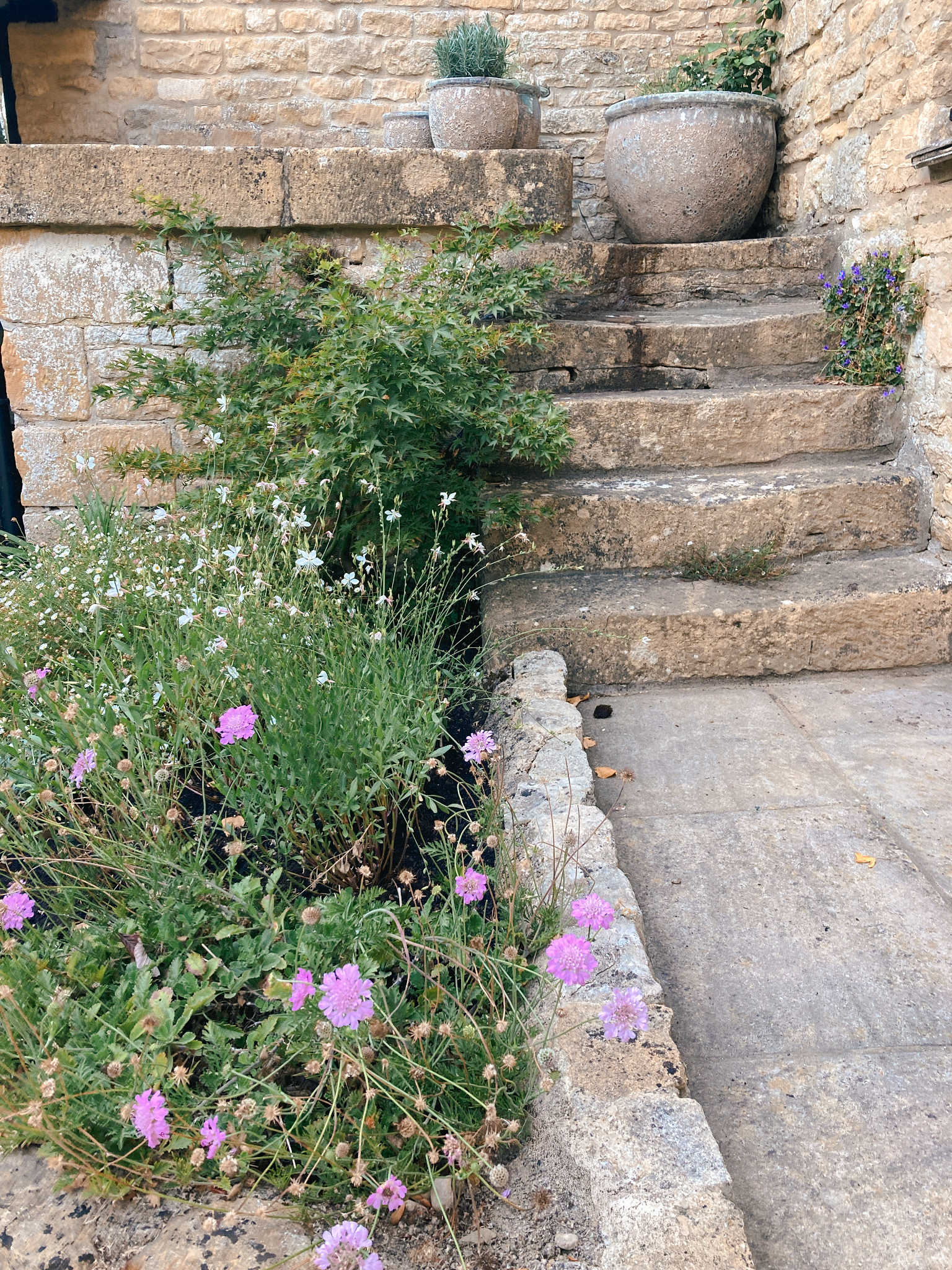Stone steps and traditional planting in a Chipping Norton country garden