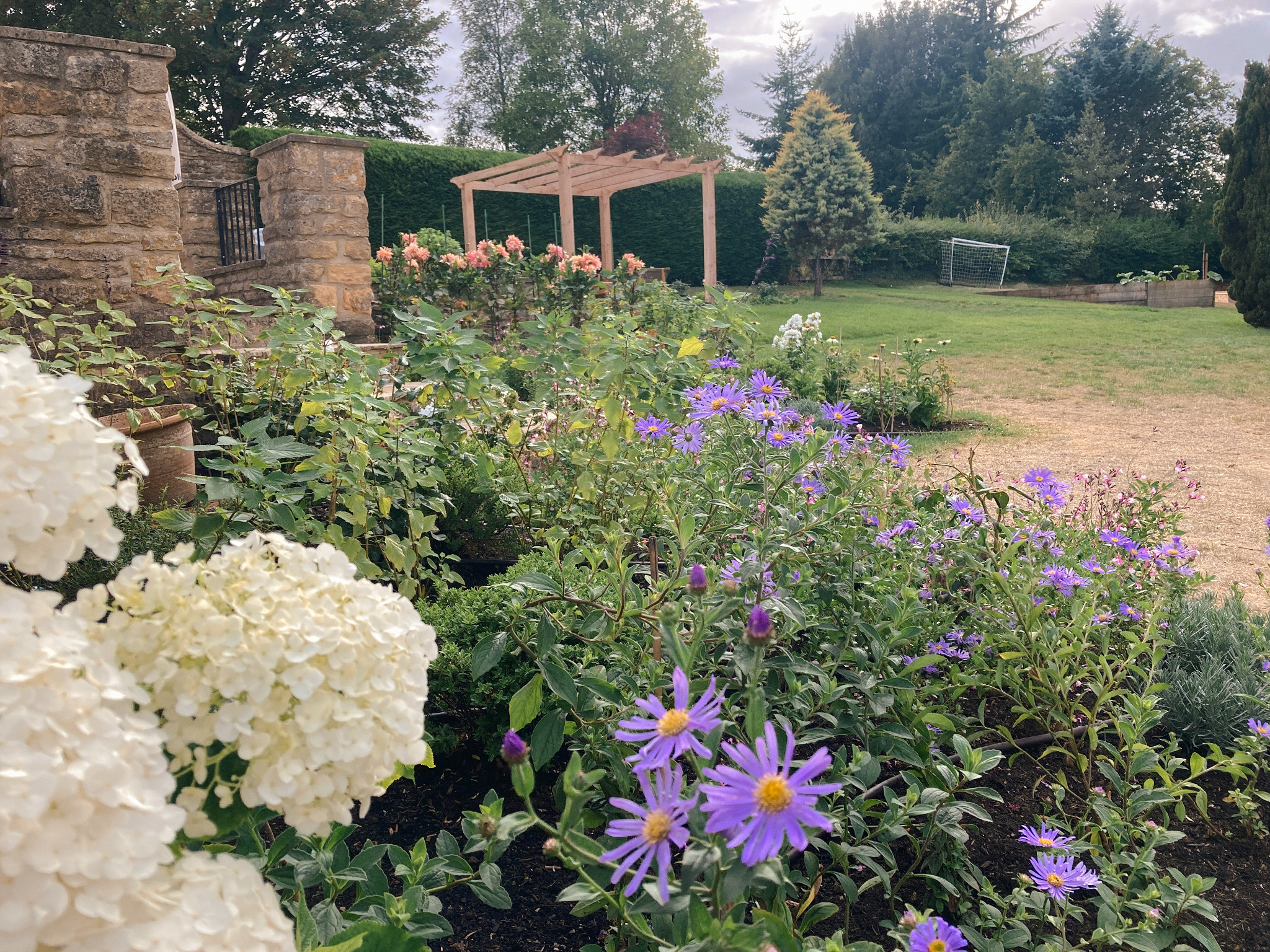 Wildflower-style planting in a large Chipping Norton country garden in Oxfordshire