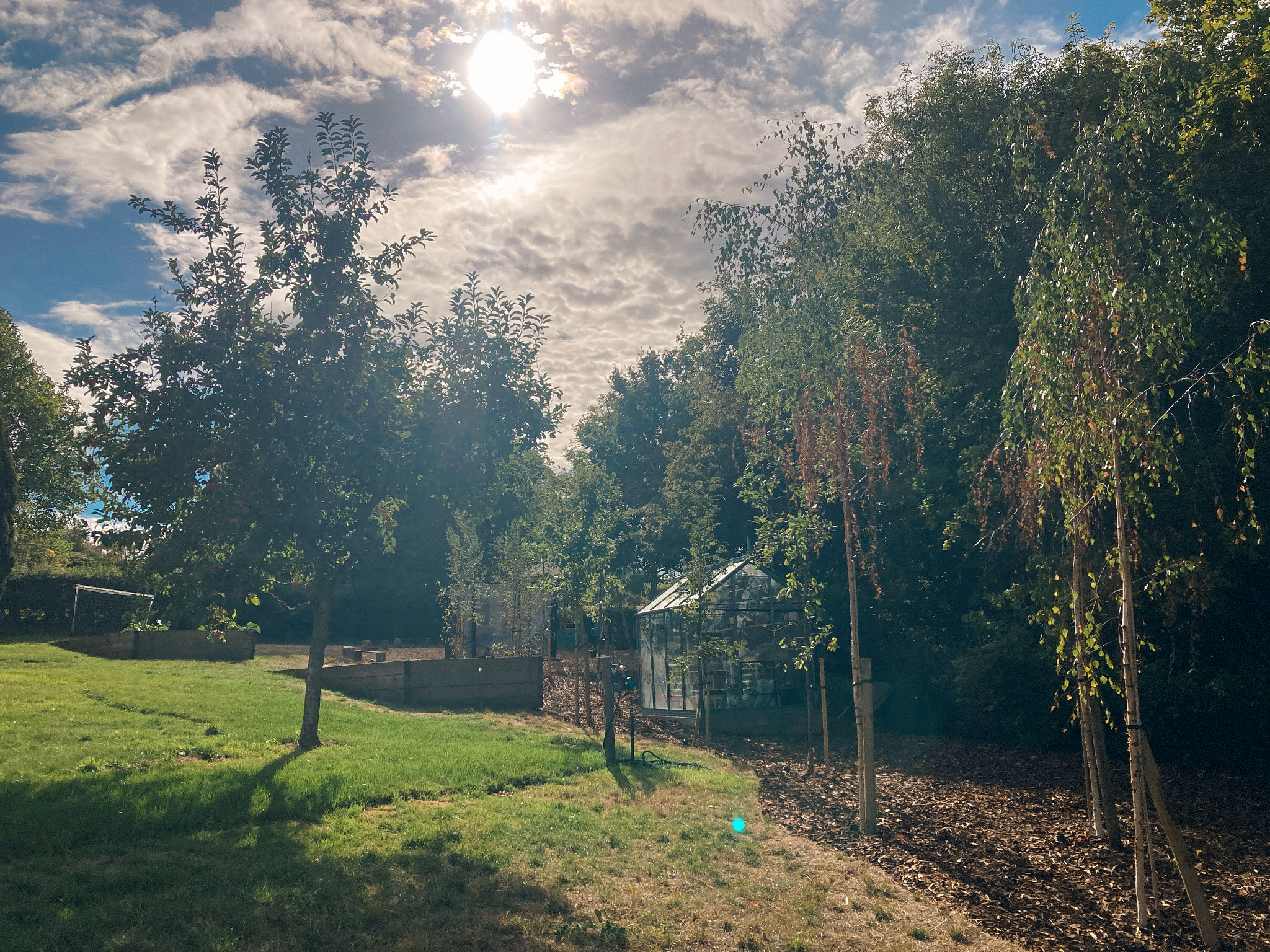 Country garden design in Chipping Norton with greenhouse, orchard trees and new woodland planting