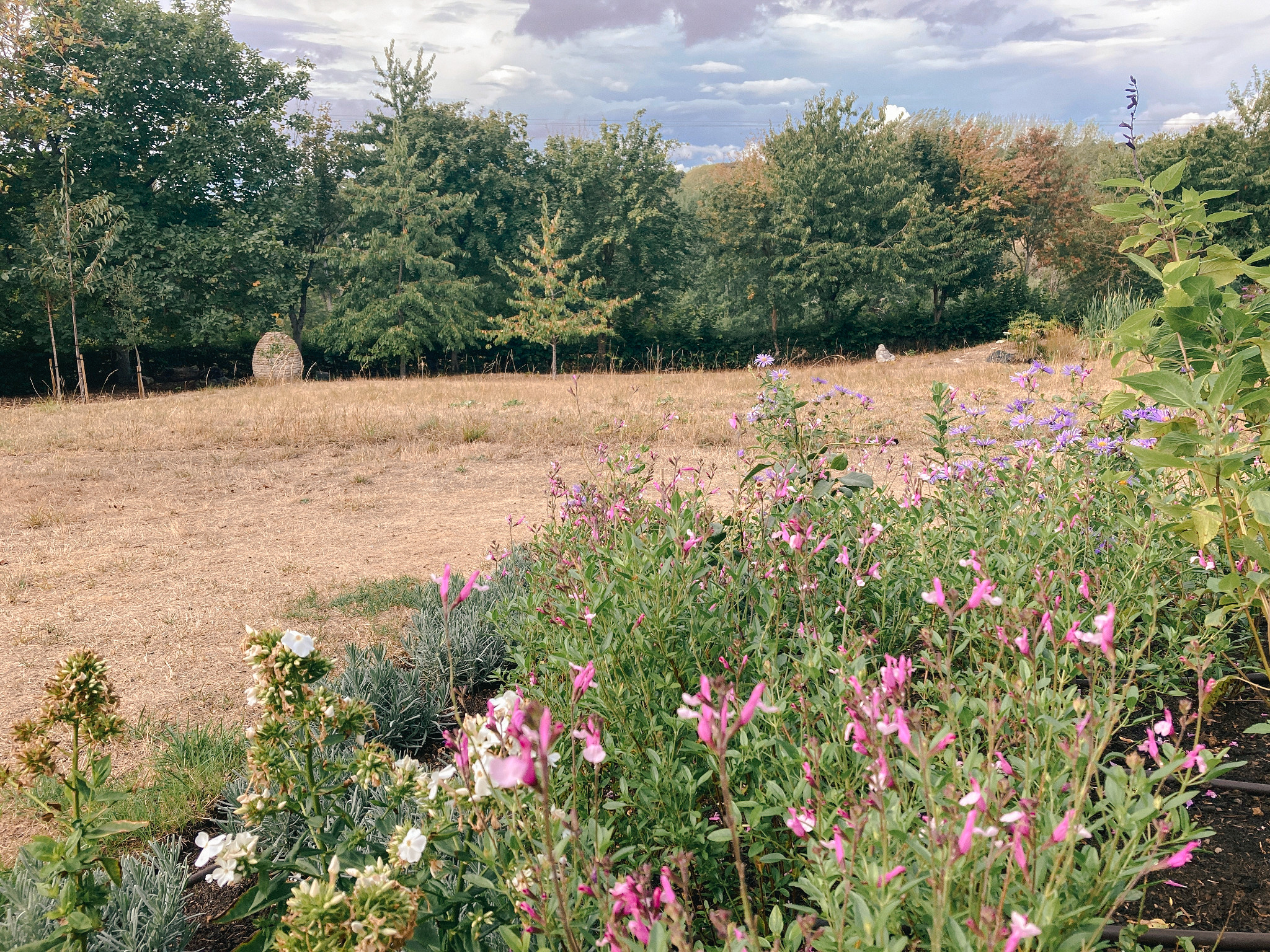 Family garden design in Chipping Norton with pergola, lawn and children’s play area