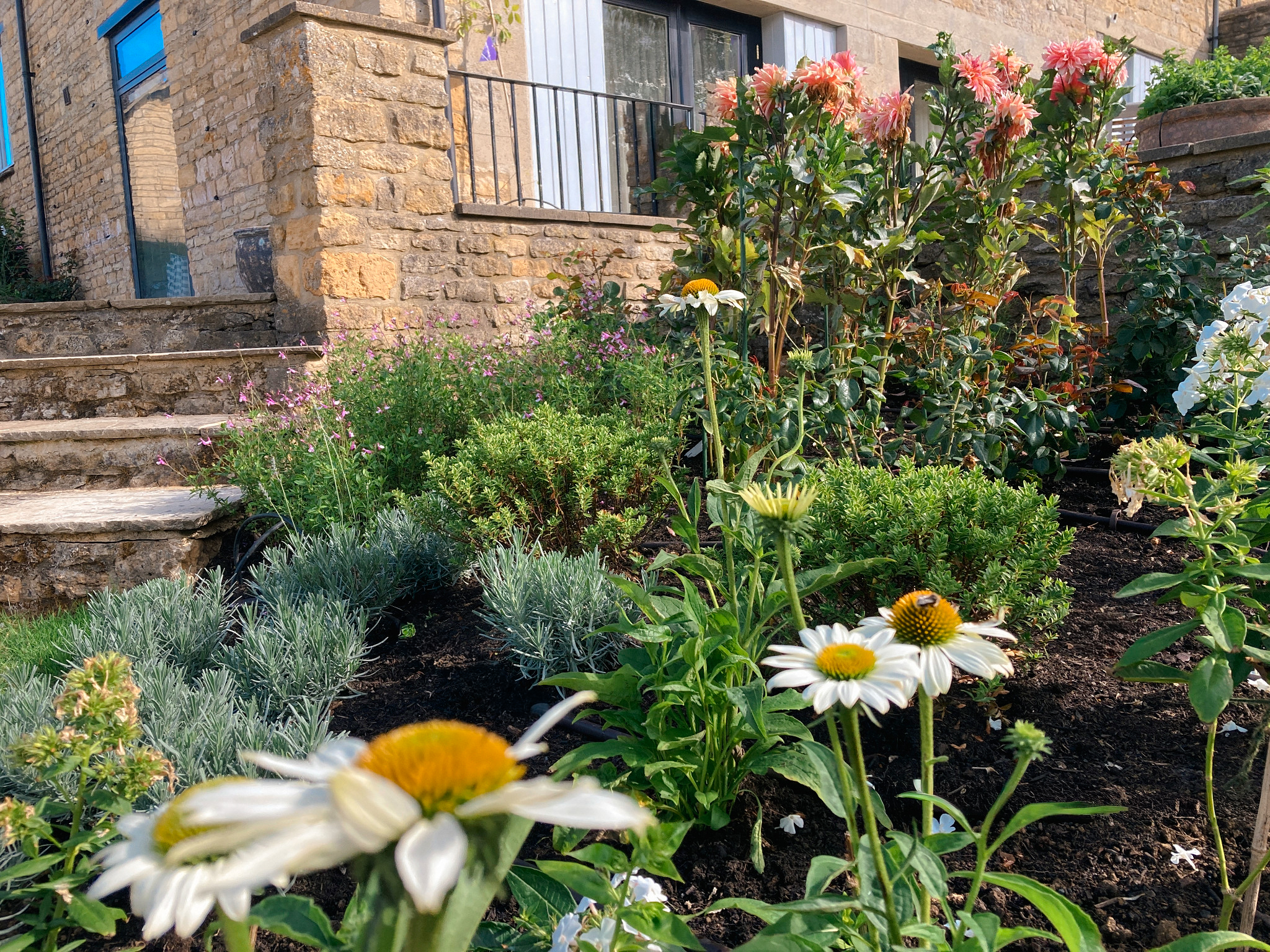 Traditional garden planting beside a country house in Chipping Norton, Oxfordshire