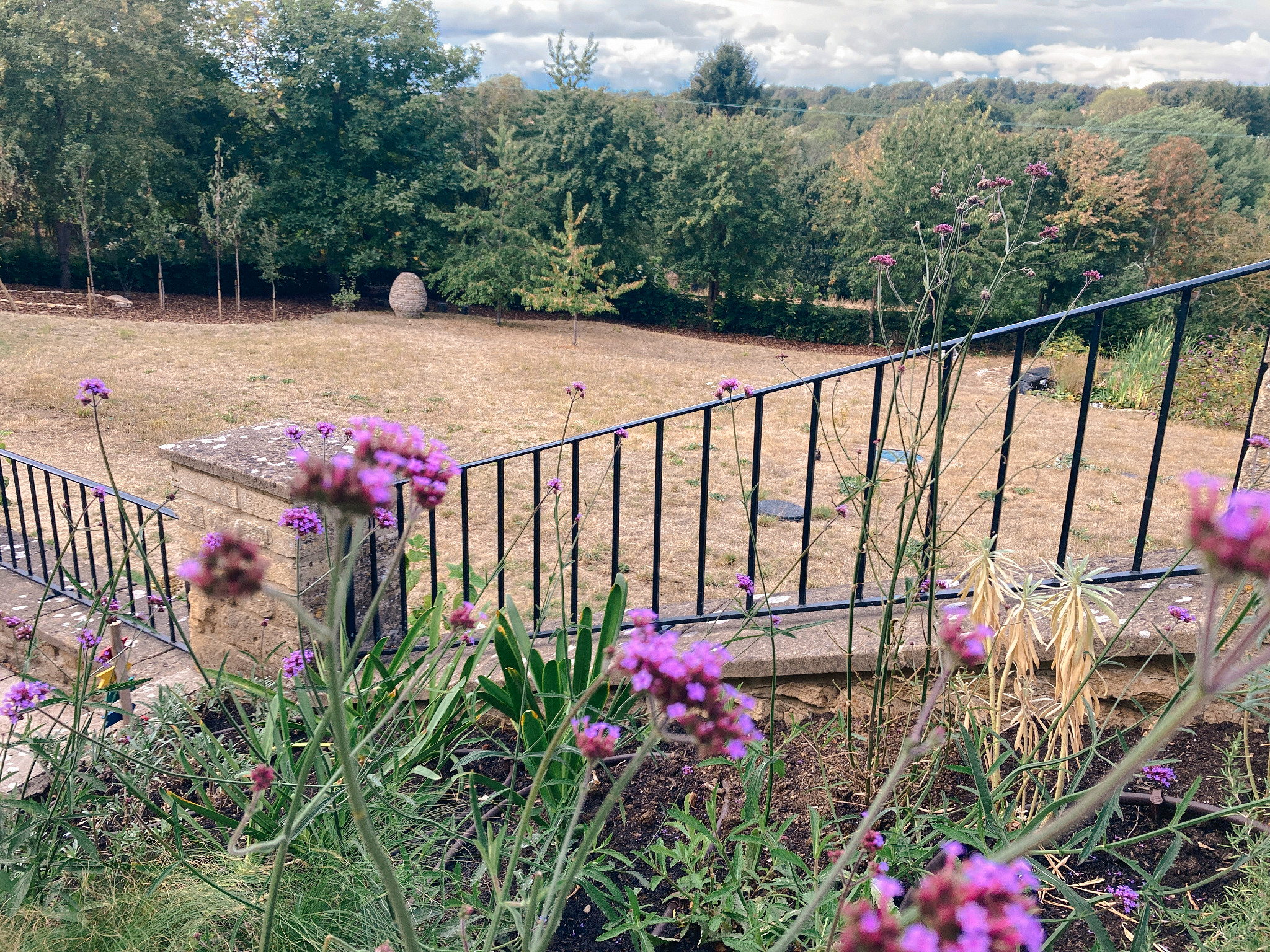 Large country garden landscape in Chipping Norton with new trees and open lawn