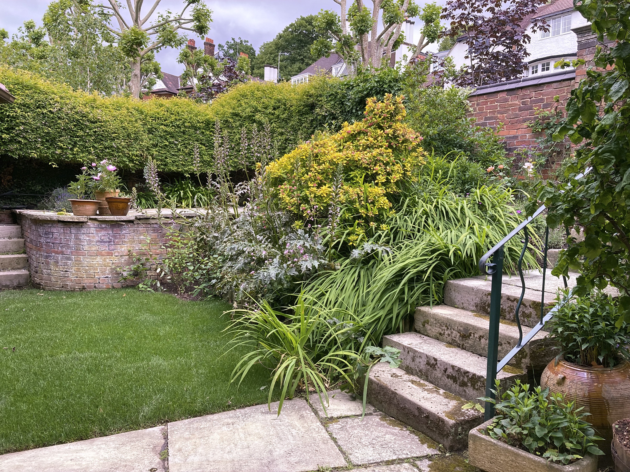 Hampstead garden restoration with lawn, mature planting and original stone steps